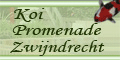 http://www.koizwijndrecht.nl
