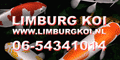 http://www.limburgkoi.nl